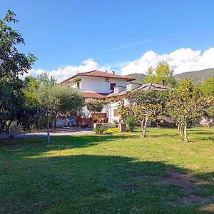 Giallo Limone B&B
